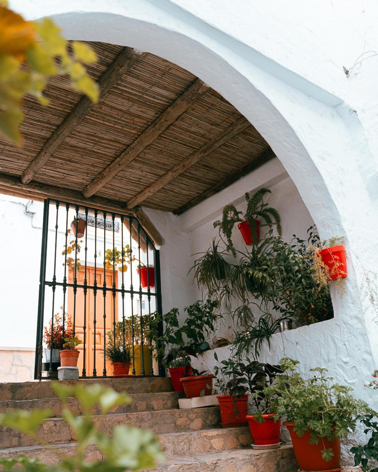 Ferienwohnung Salati El Gastor Exterior foto